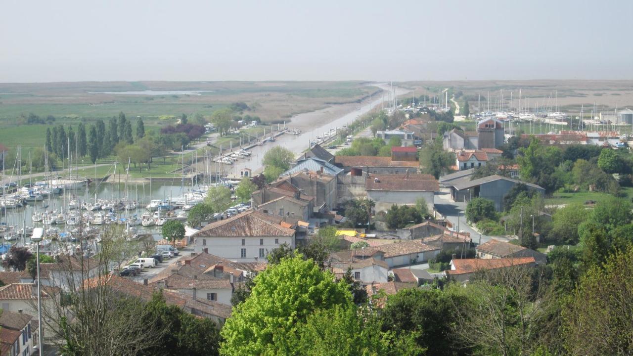 Grande Maison Charentaise Avec Vue Sur Le Chenal Superbes Couches De Soleil Sur L Estuaire De La Gironde! Mortagne-sur-Gironde 外观 照片