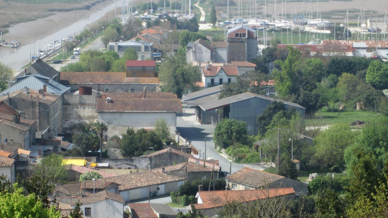 Grande Maison Charentaise Avec Vue Sur Le Chenal Superbes Couches De Soleil Sur L Estuaire De La Gironde! Mortagne-sur-Gironde 外观 照片