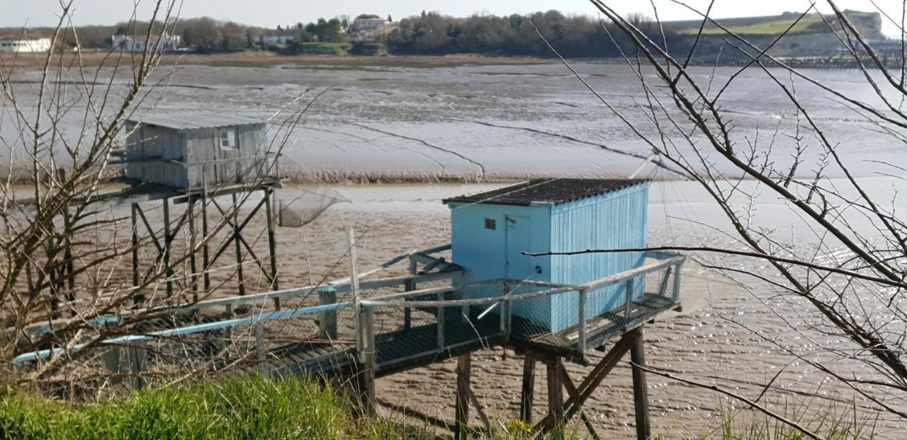 Grande Maison Charentaise Avec Vue Sur Le Chenal Superbes Couches De Soleil Sur L Estuaire De La Gironde! Mortagne-sur-Gironde 外观 照片